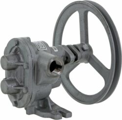 Kg Gear Pump – Stainless Steel 304